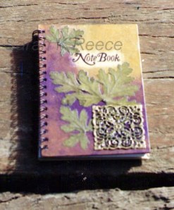 Gift ideas for Chistmas