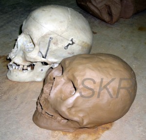Sculpting a skull