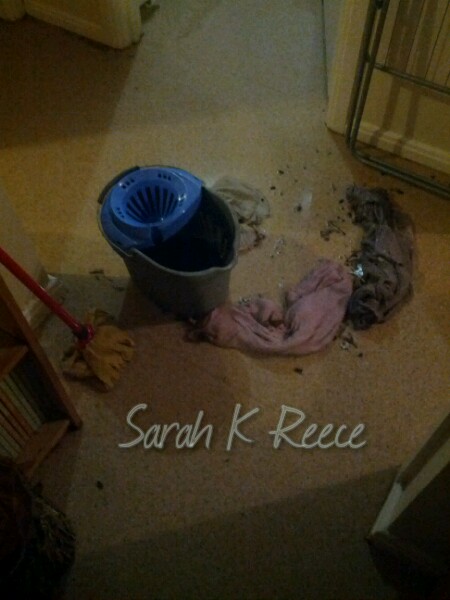 Sarah K Reece - flooding the unit