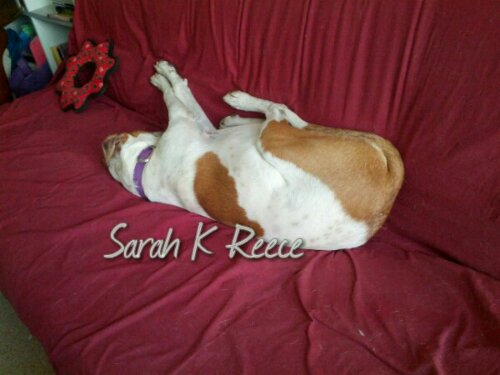 IMG_20131023_163915_wm.jpg image