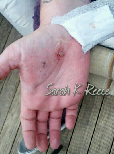 IMG_20131211_191335_wm-1.jpg image