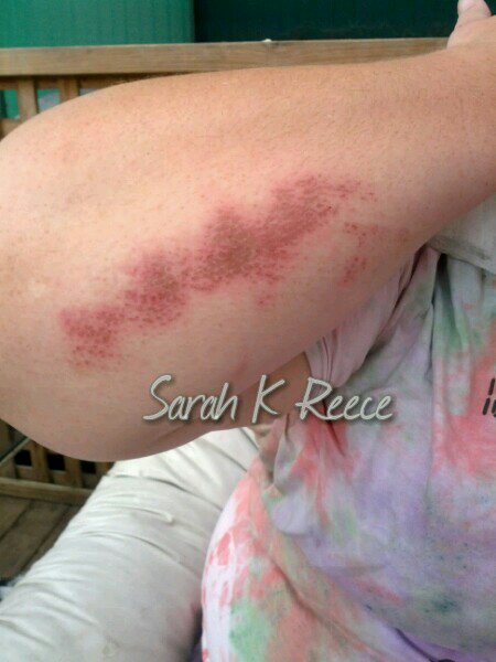 IMG_20131211_191341_wm.jpg image