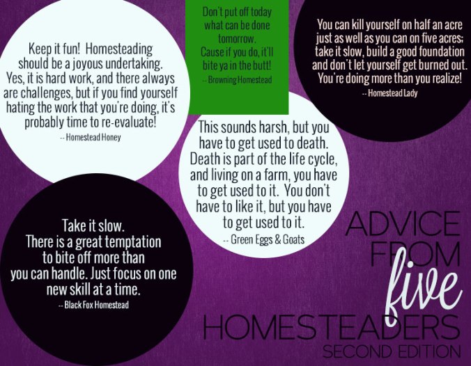Homesteader advice