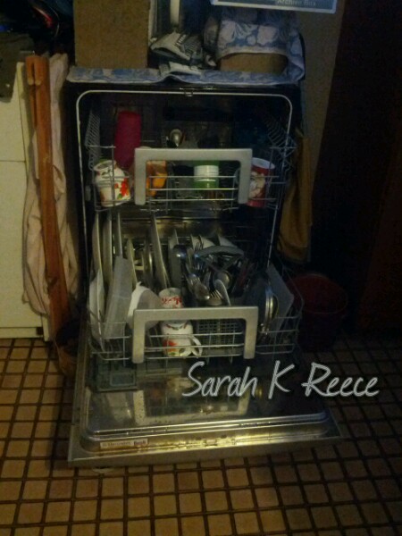 2014-06-26 07.52.33-1