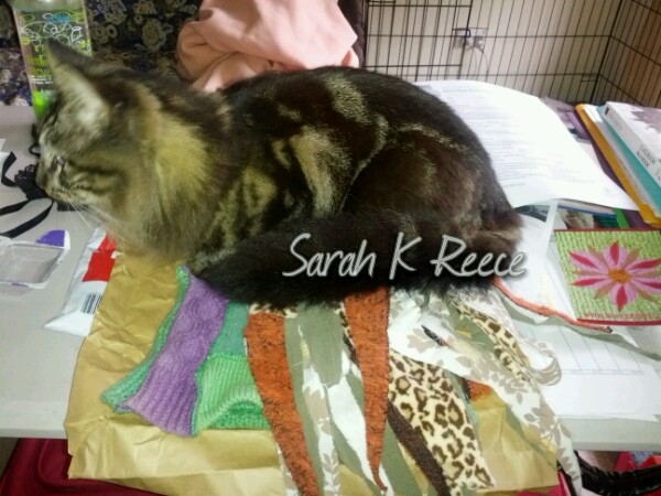 2014-07-08 10.22.24-1