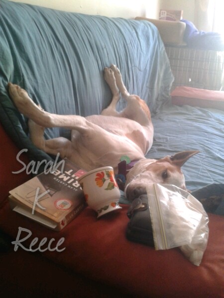 2014-10-03 11.25.03_wm