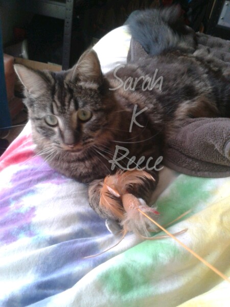 2014-10-07 08.51.45-1