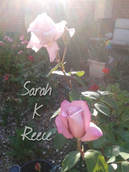 wp-1413543591291 image