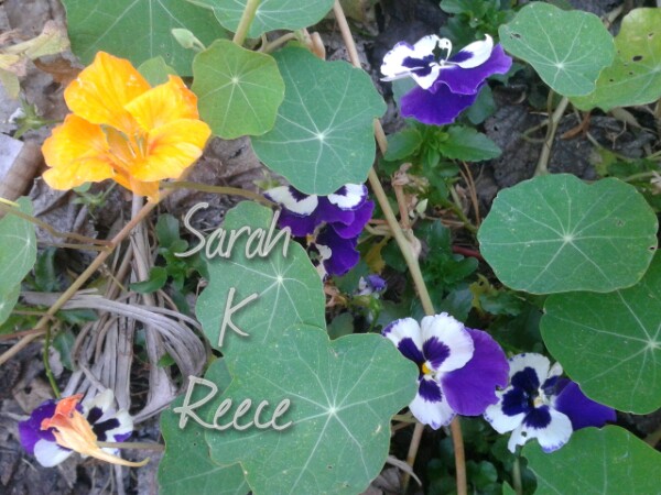 wp-1413543842873 image