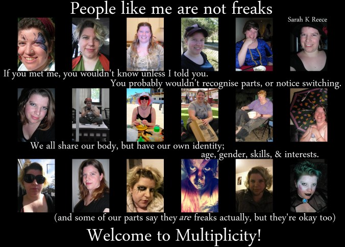 Welcome to Multiplicity