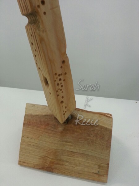 20150603_153601_wm.jpg image